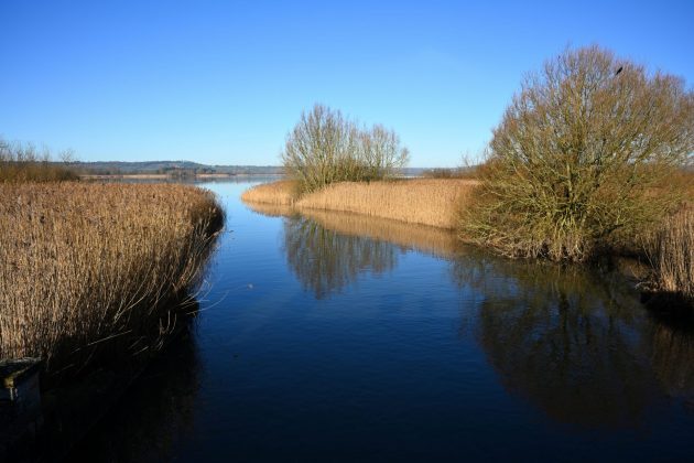 Nikon Z 24-120mm f/4 S