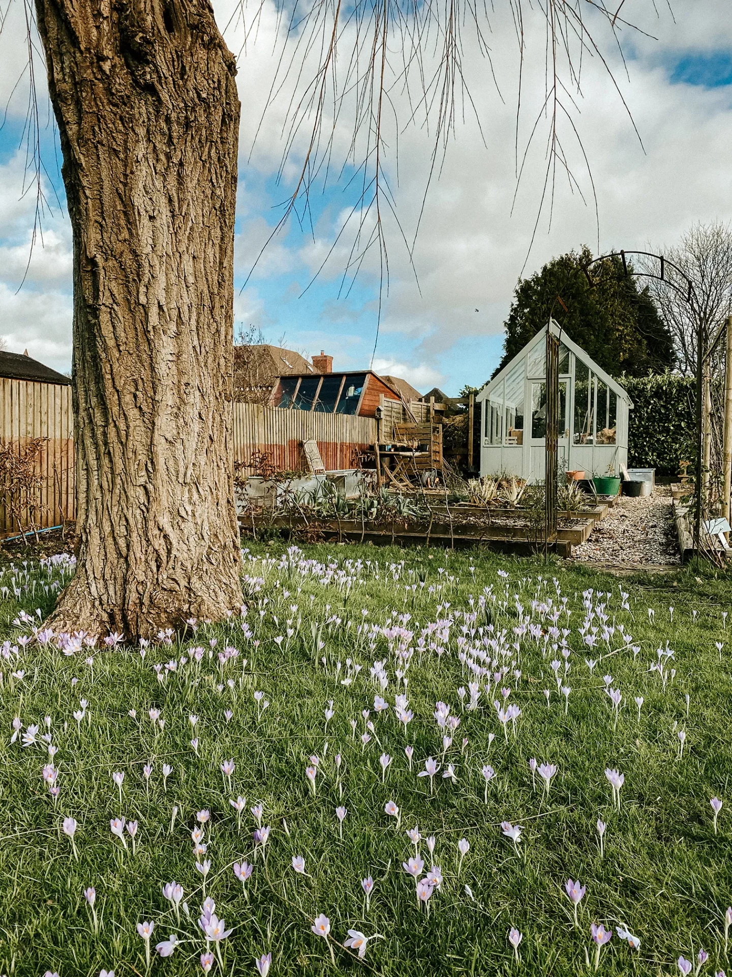 Оформление теплицы – стильные и практичные идеи-17