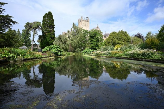 Nikon Z 20 мм f/1.8 S