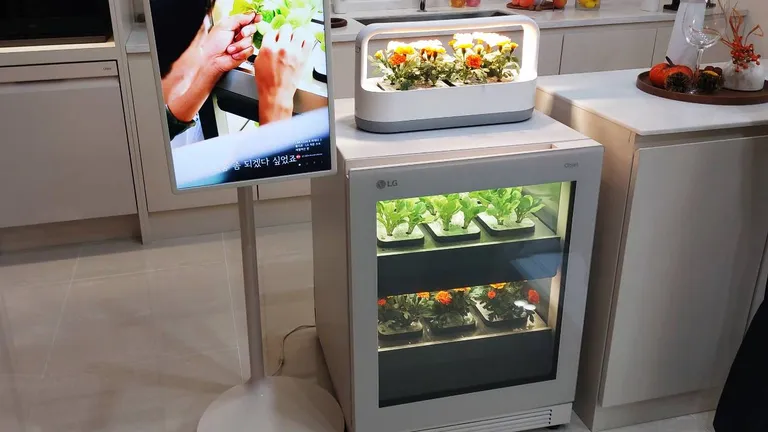 Лучшие «умные» домашние сады 2025 года-2