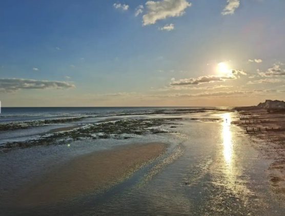 Обзор Samsung Galaxy A56: похудел и стал умнее фото