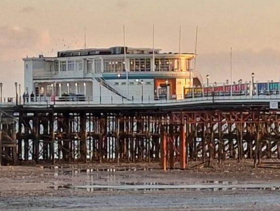 Обзор Samsung Galaxy A56: похудел и стал умнее фото