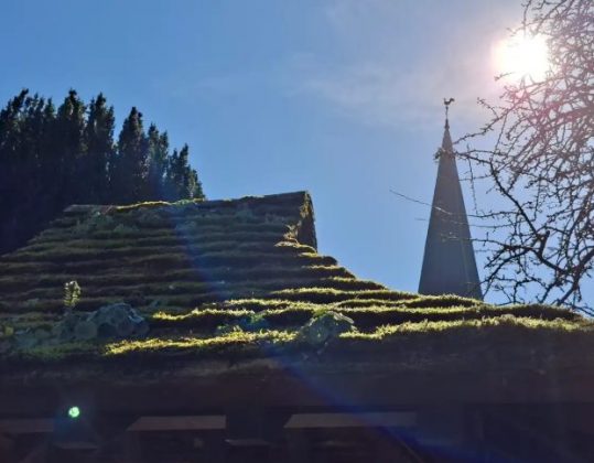 Обзор Samsung Galaxy A56: похудел и стал умнее фото