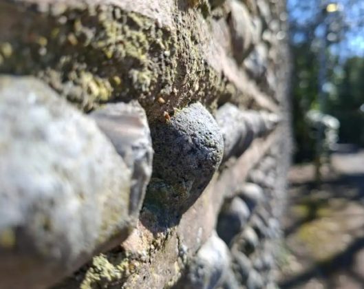 Обзор Samsung Galaxy A56: похудел и стал умнее фото