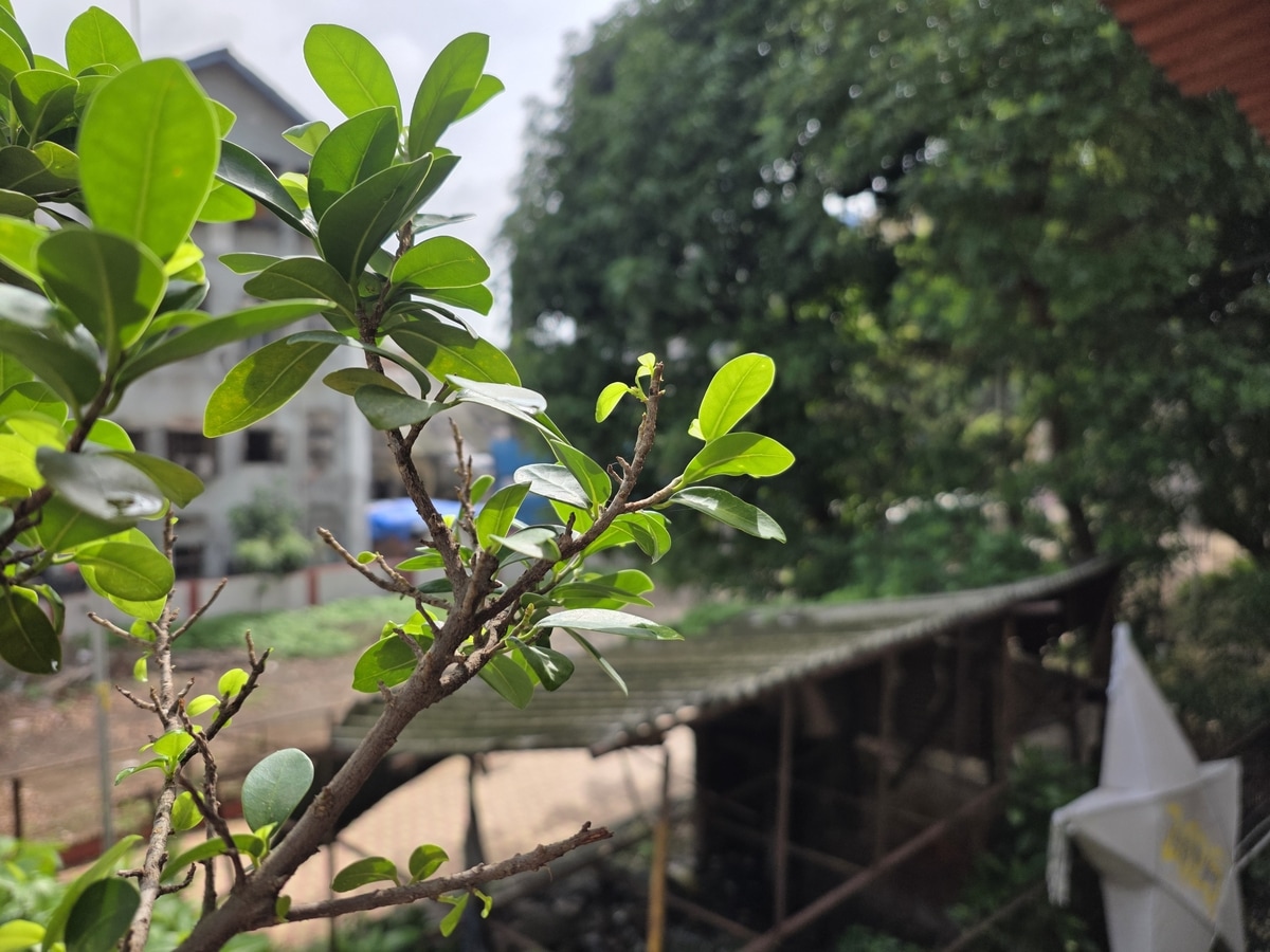 Обзор Samsung Galaxy S25 Edge: всё премиальное, кроме Pro