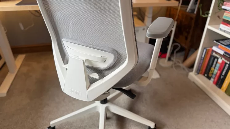 Branch Ergonomic Chair Pro-5