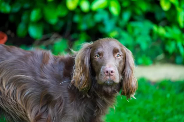 Tamron 70-180mm f/2.8 Di III VC VXD G2-5