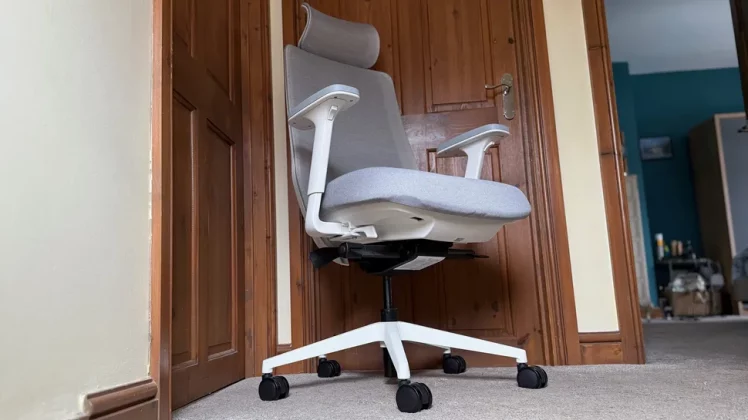 Branch Ergonomic Chair Pro-7