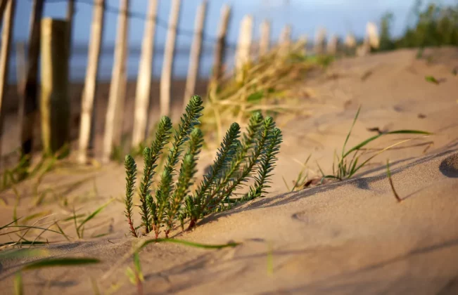 Fujifilm XF35 mm F2 R WR-3