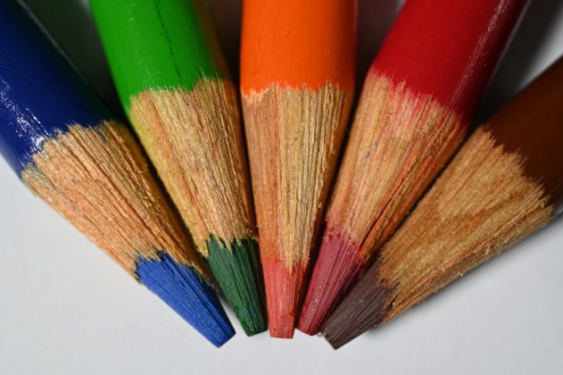 Nikon Z MC 50mm f/2.8