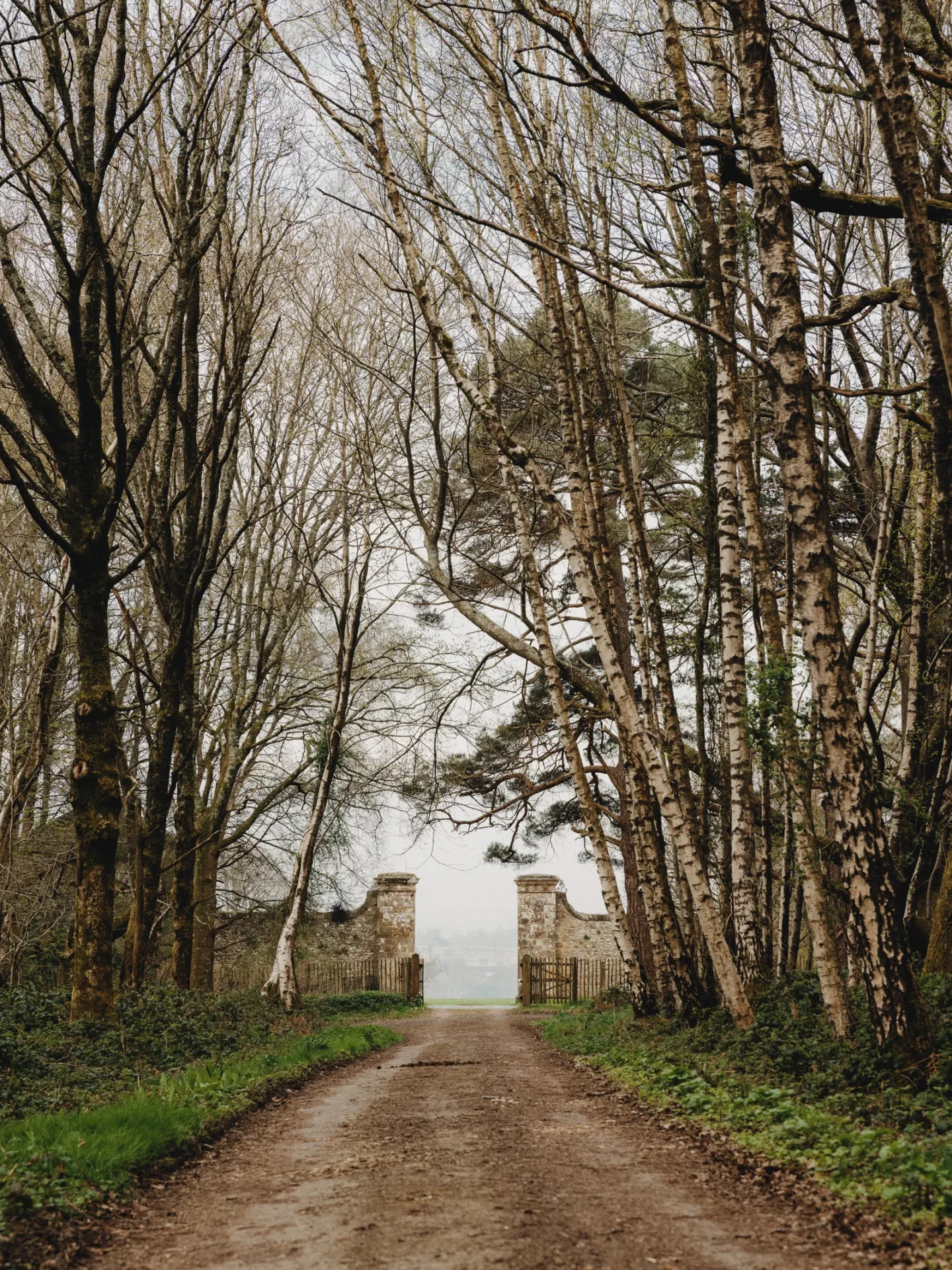 Эксцентричная пара превратила сторожевой домик в творческое пространство