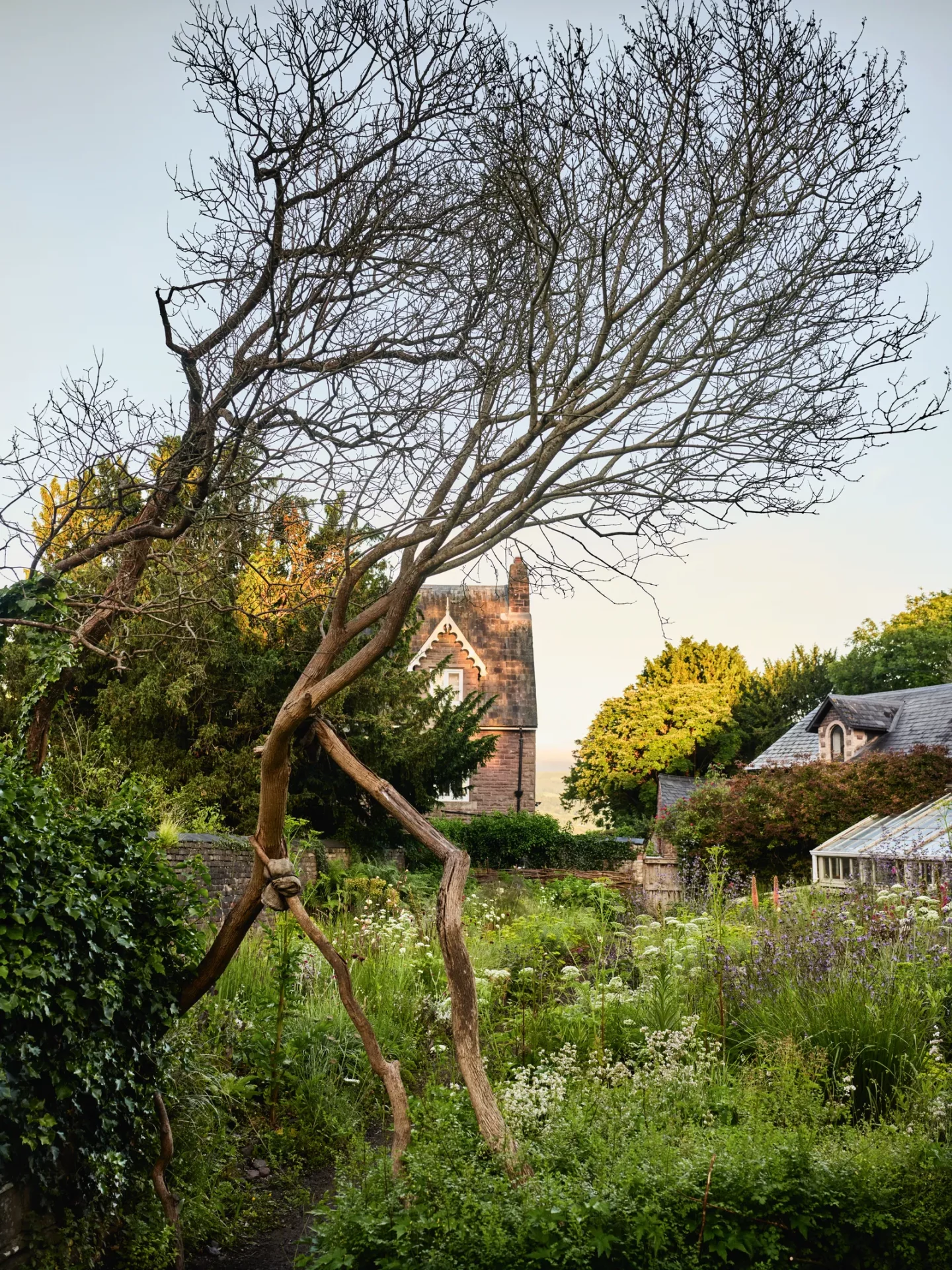 Загородный сад Сары Прайс-3