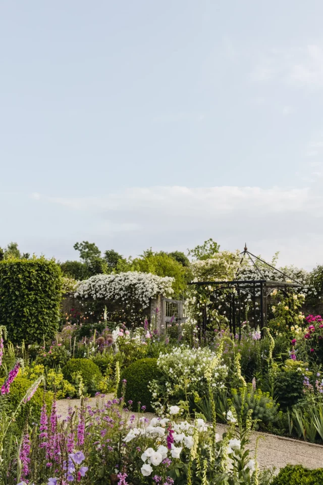 Почему стоит подумать о разделении вашего сада