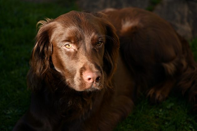 Nikon Z 100-400mm f/4.5-5.6 VR S