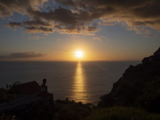 Olympus OM-D E-M10 Mark IV