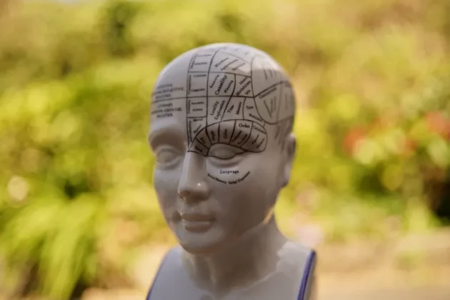 Samyang AF 35mm f/1.4 FE II-5