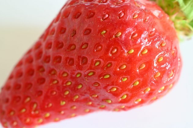 Nikon Z MC 50mm f/2.8 Macro