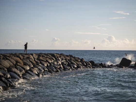 Olympus OM-D E-M10 Mark IV