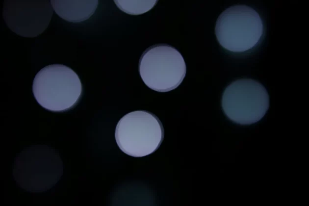 Sigma 56mm f/1.4 DC DN Contemporary-5