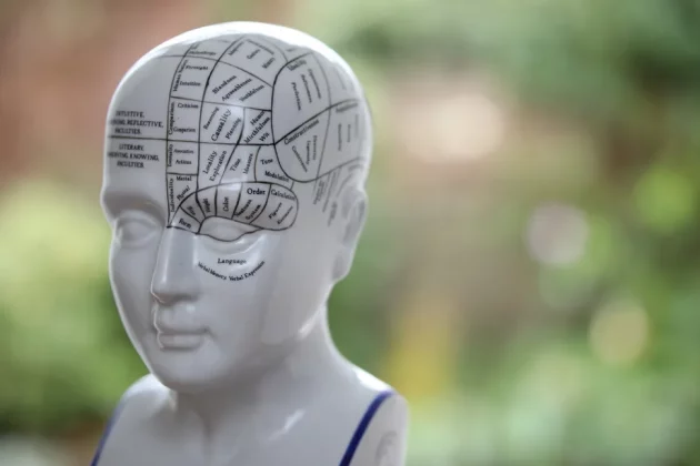 Sigma 56mm f/1.4 DC DN | C-3