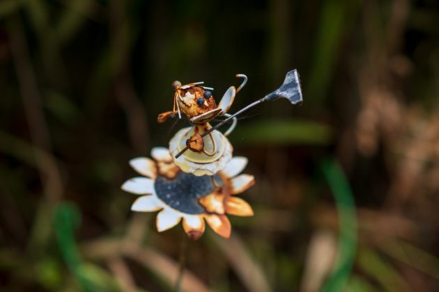 Viltrox AF 56mm F1.4 Z