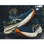 Asics Gel-Kayano 30