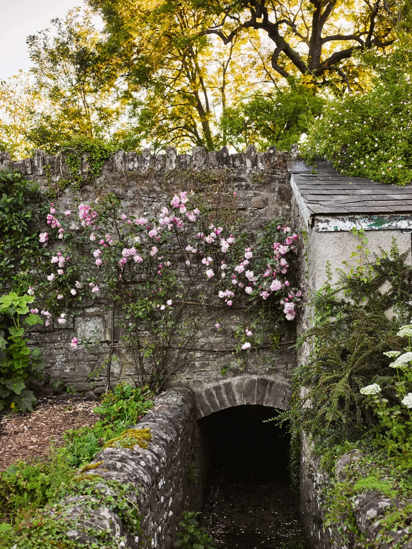 Загородный сад Сары Прайс-4