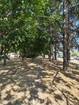 Nothing Phone (3) vs Nothing Phone (3a) Pro: флагман против середнячка фото