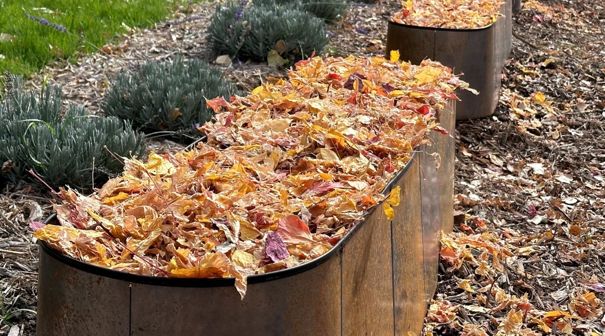 Продлите свой сезон