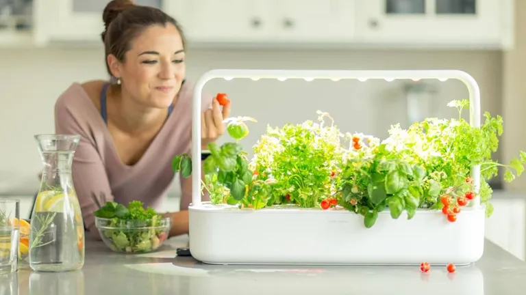 Лучшие «умные» домашние сады 2025 года-5