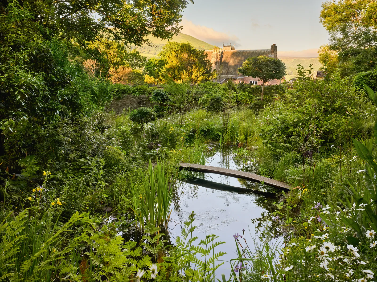 Загородный сад Сары Прайс-5