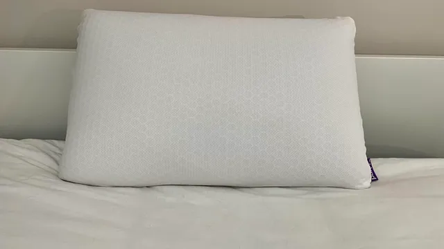 Purple Harmony Pillow