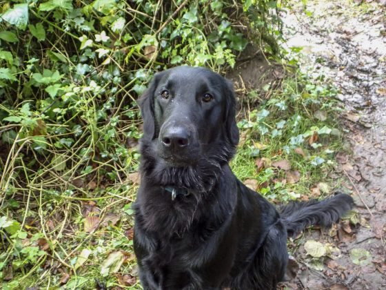 OM System Tough TG-7