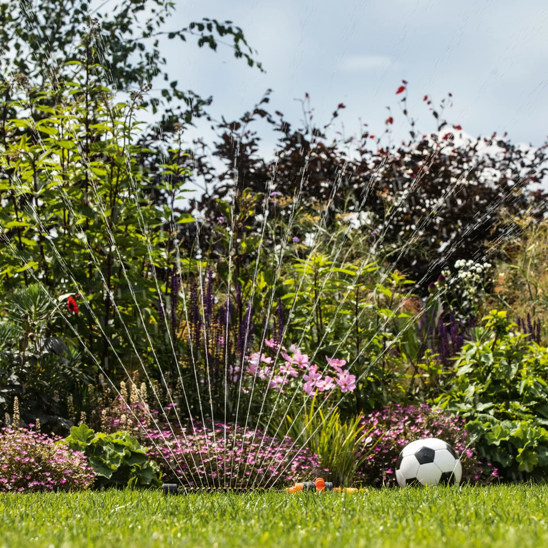 7 фатальных ошибок полива, убивающих ваш сад