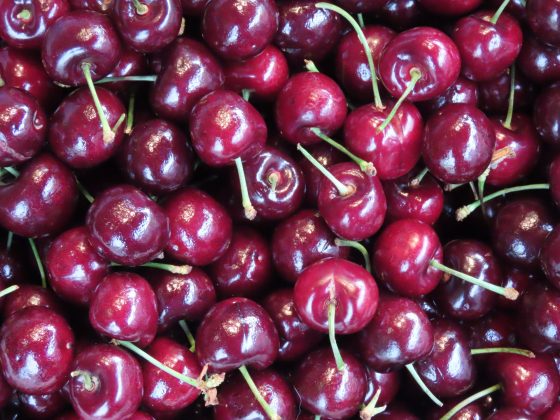 Canon PowerShot SX70 HS