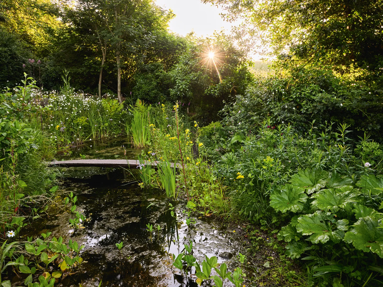 Загородный сад Сары Прайс-9