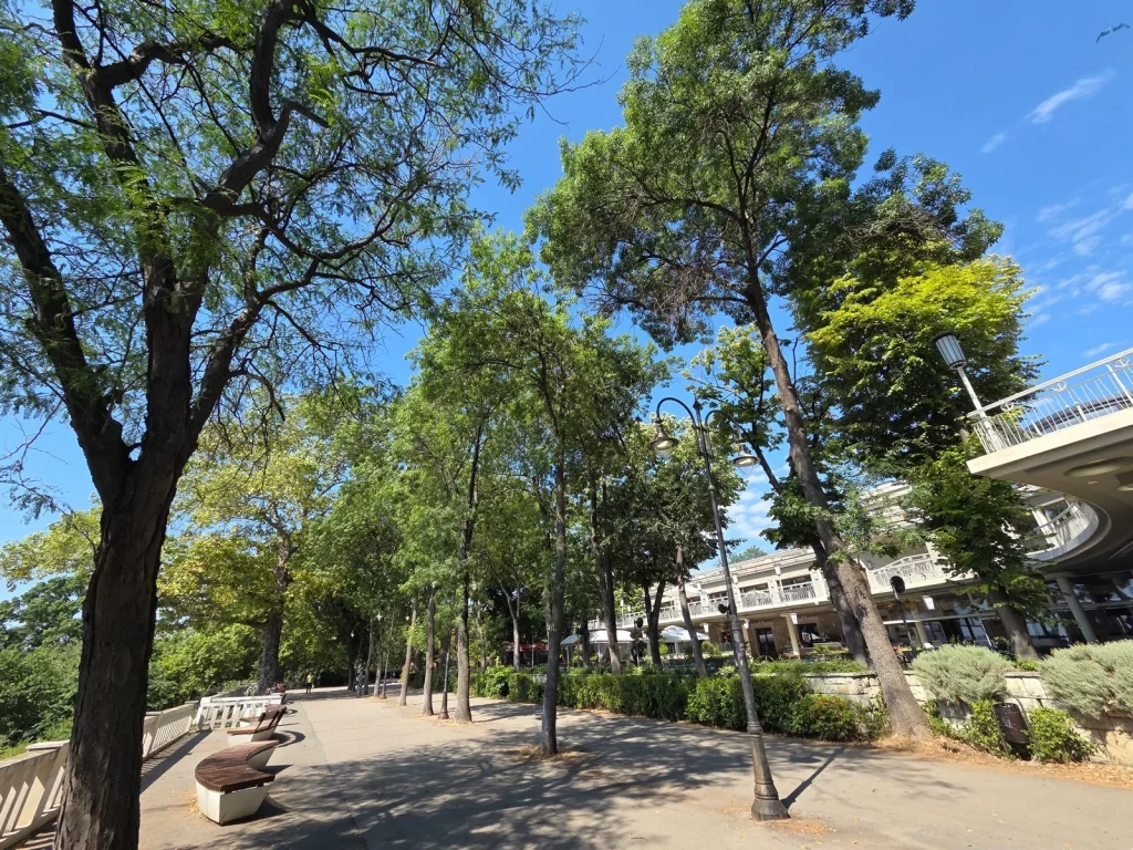 Galaxy Z Fold 7 vs Pixel 9 Pro Fold: битва за лучшую камеру картинка Galaxy Z Fold 7 vs Pixel 9 Pro Fold: битва за лучшую камеру