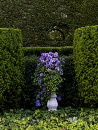 В волшебном саду с розами в Хэмптонсе