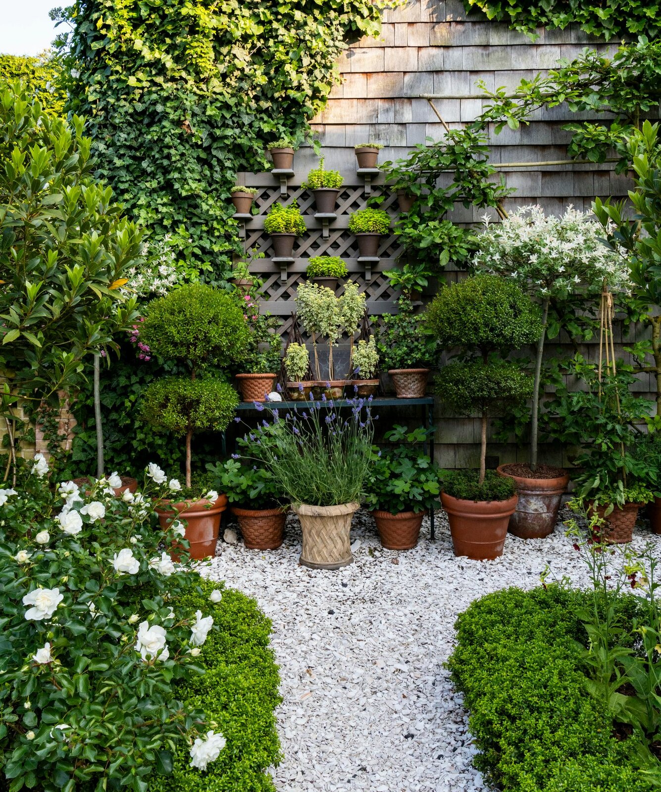 В волшебном саду с розами в Хэмптонсе