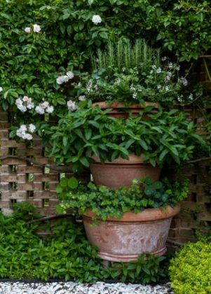 В волшебном саду с розами в Хэмптонсе