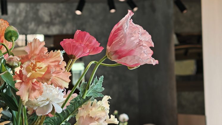 Я протестировал будущее телефонных камер, но оно не от Samsung или Apple