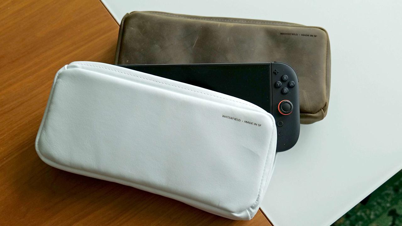 Waterfield Magnetic Case for the Switch 2