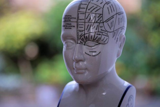 Лучшие объективы для Sony A7 III: максимум за свои деньги фото