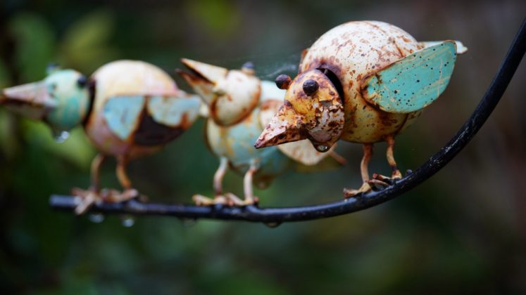 Лучшие объективы для Sony A7 III: максимум за свои деньги фото