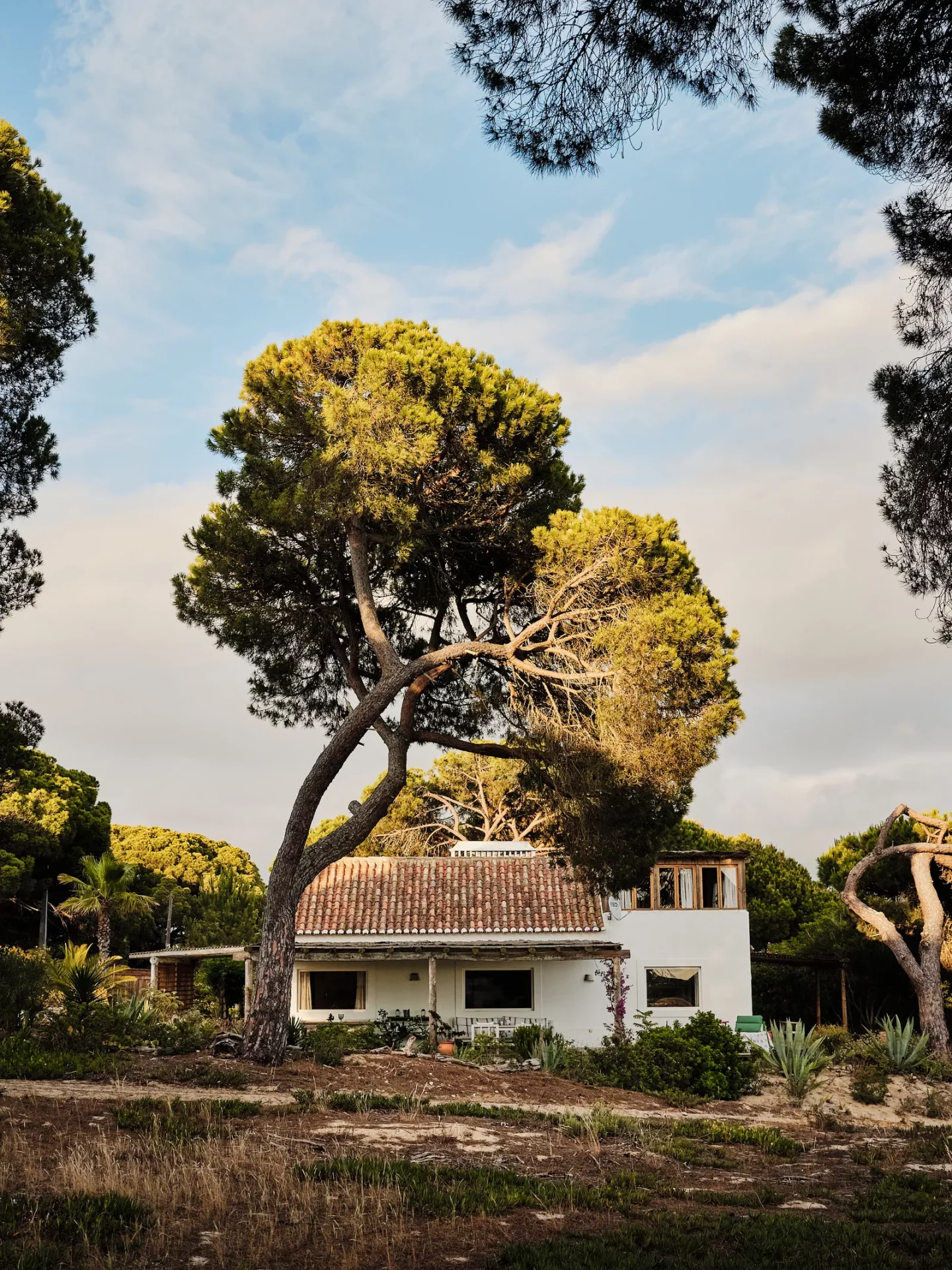 дизайн дома