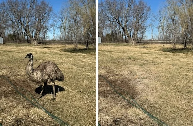 iOS 26 и ИИ: Apple наконец-то догоняет конкурентов? картинка iOS 26 и ИИ: Apple наконец-то догоняет конкурентов?