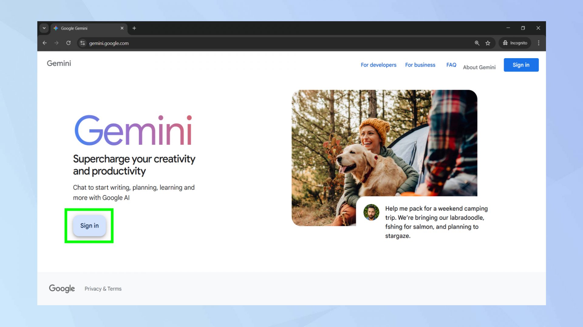 Вы можете запретить Gemini обучаться на ваших данных — вот как это сделать
