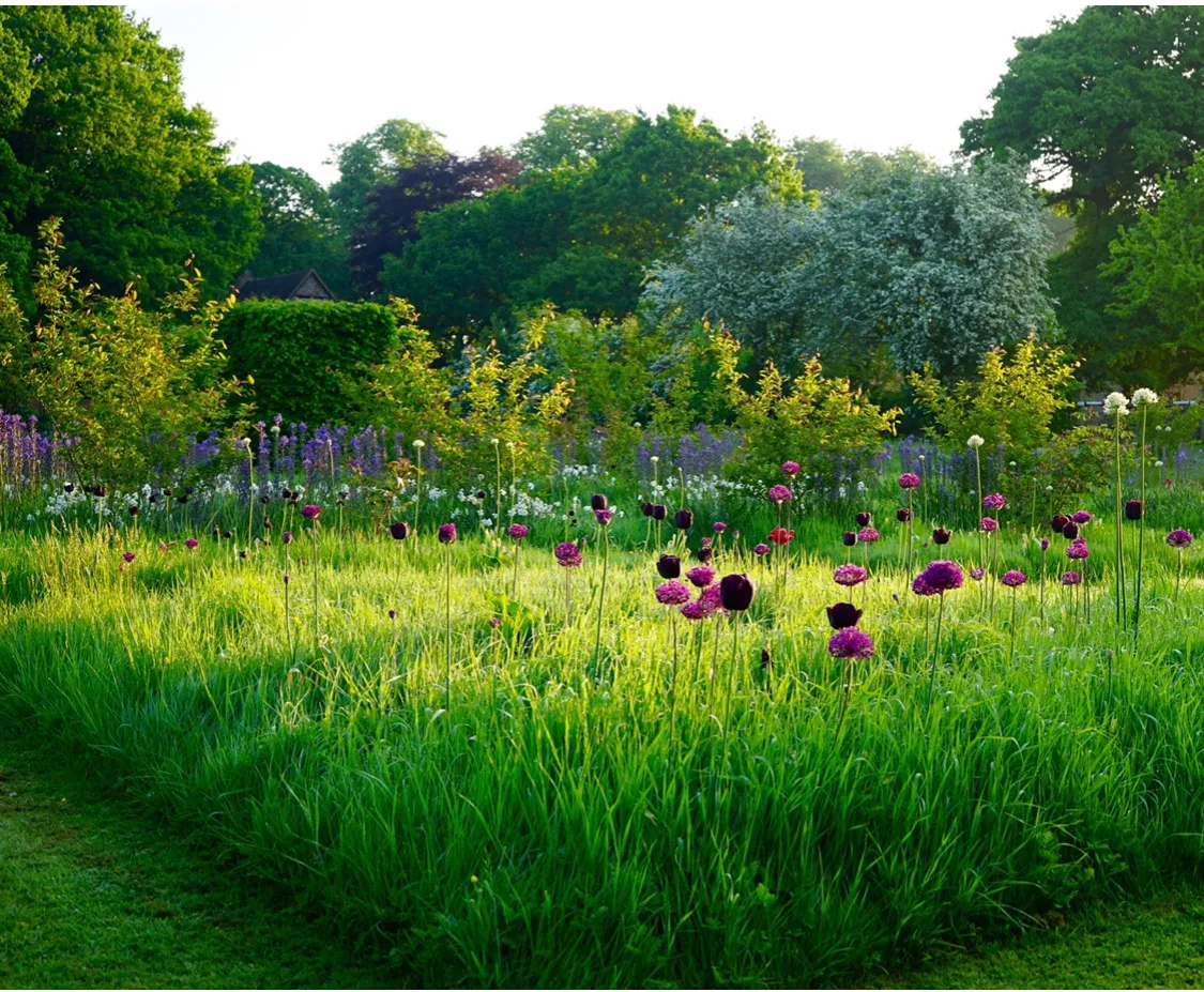 дизайн сада