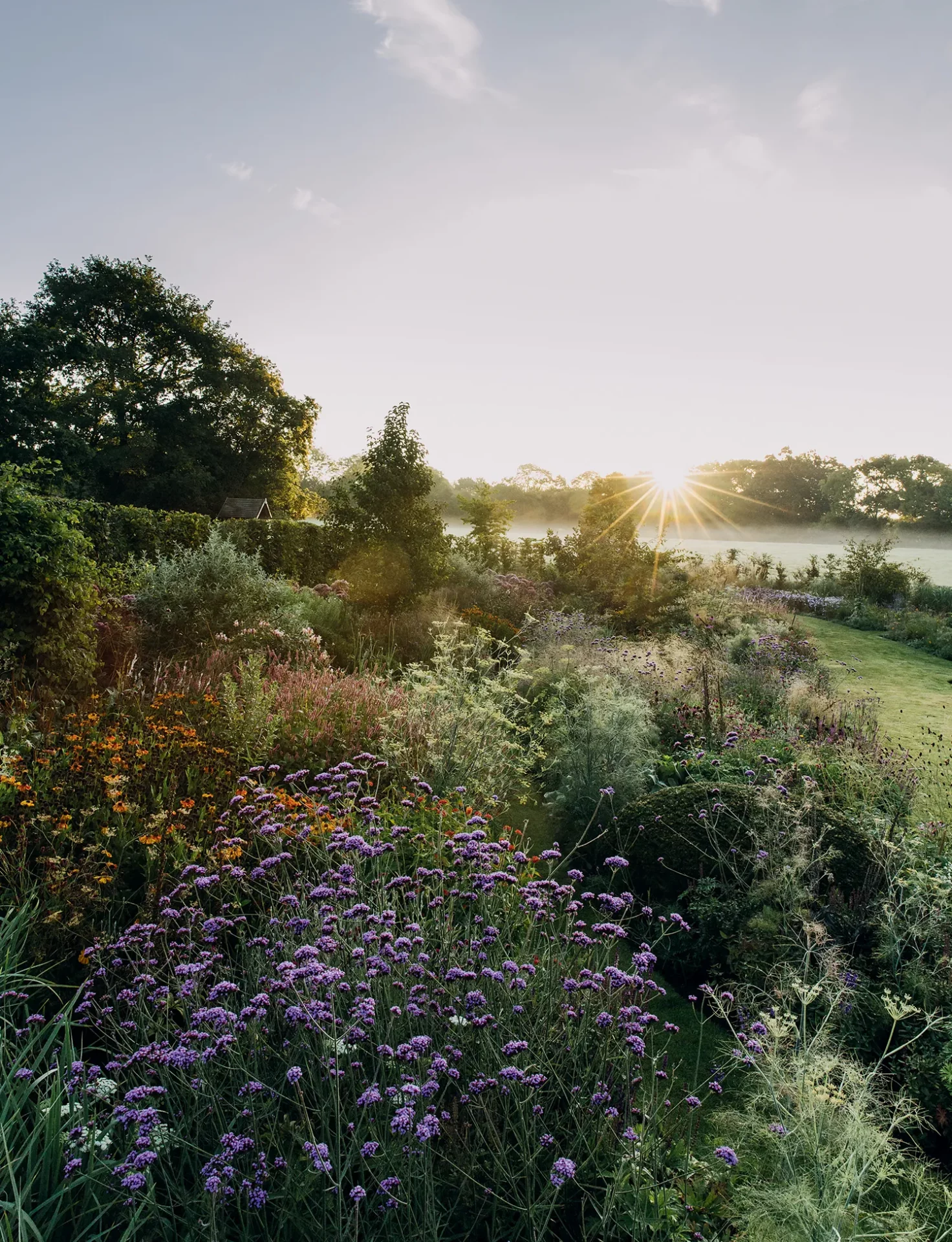 дизайн сада