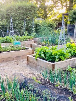 дизайн сада